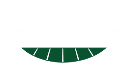 Strive Stats
